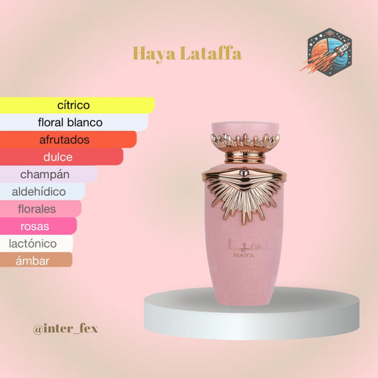 Lataffa Haya